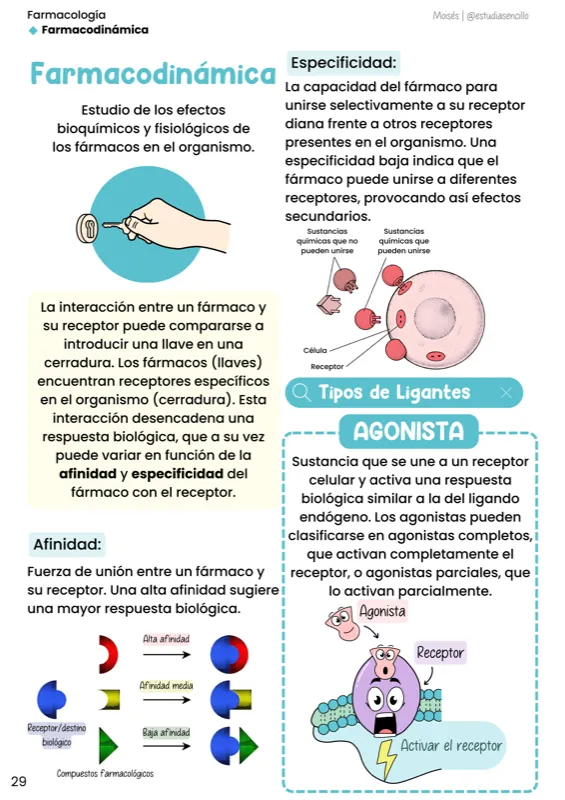 Muestra 2: esquema visual del material